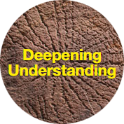 deep-understanding