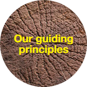 guiding-principles