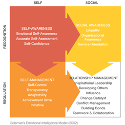 Emotional Intelligence